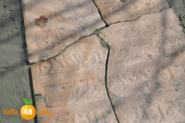 ajyalnewa3maltayba (101).JPG